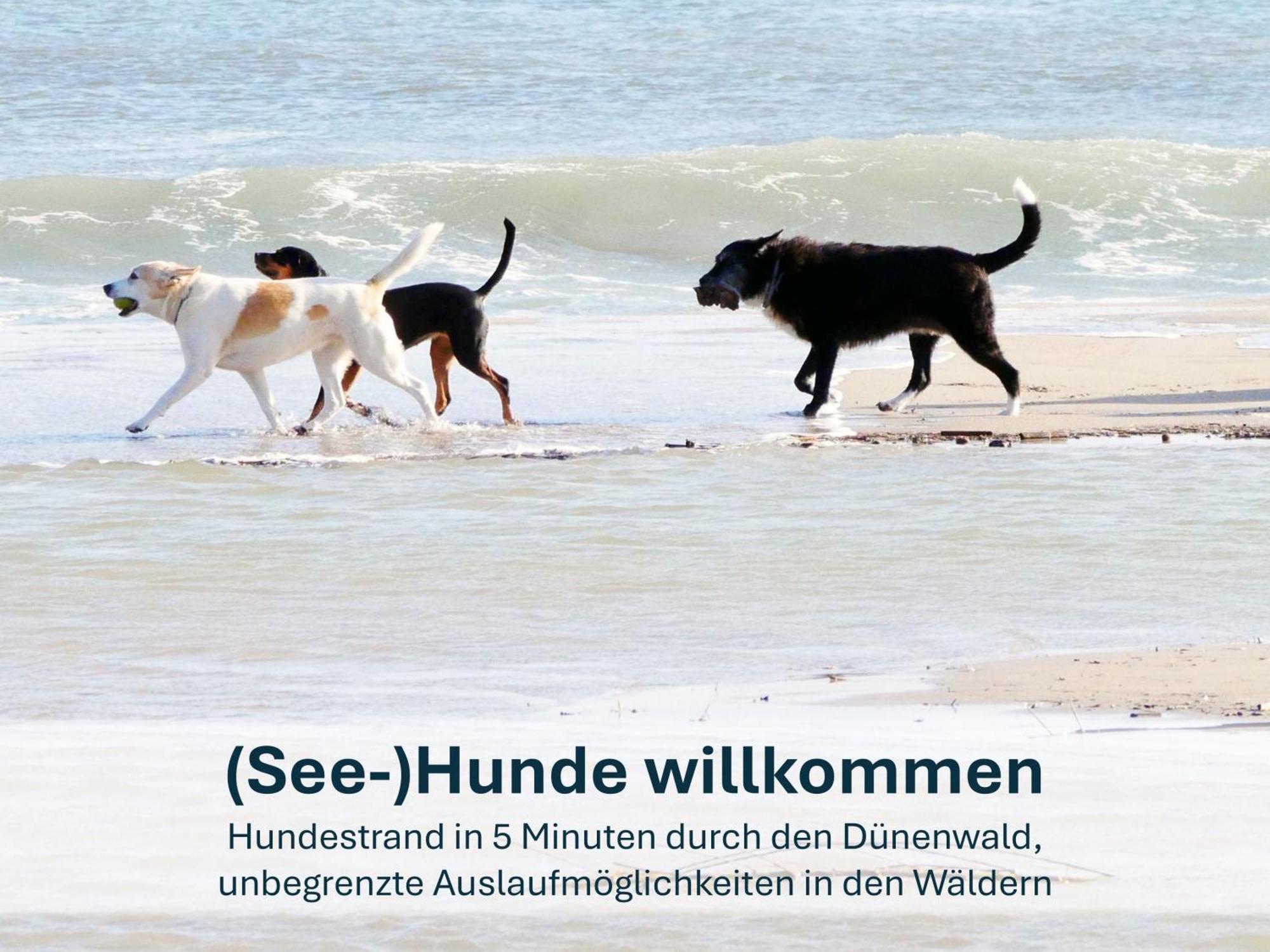 Paradies-Ambiente - Strandnah, Sauna, Kamin, Hundefreundlich Zinnowitz Eksteriør bilde