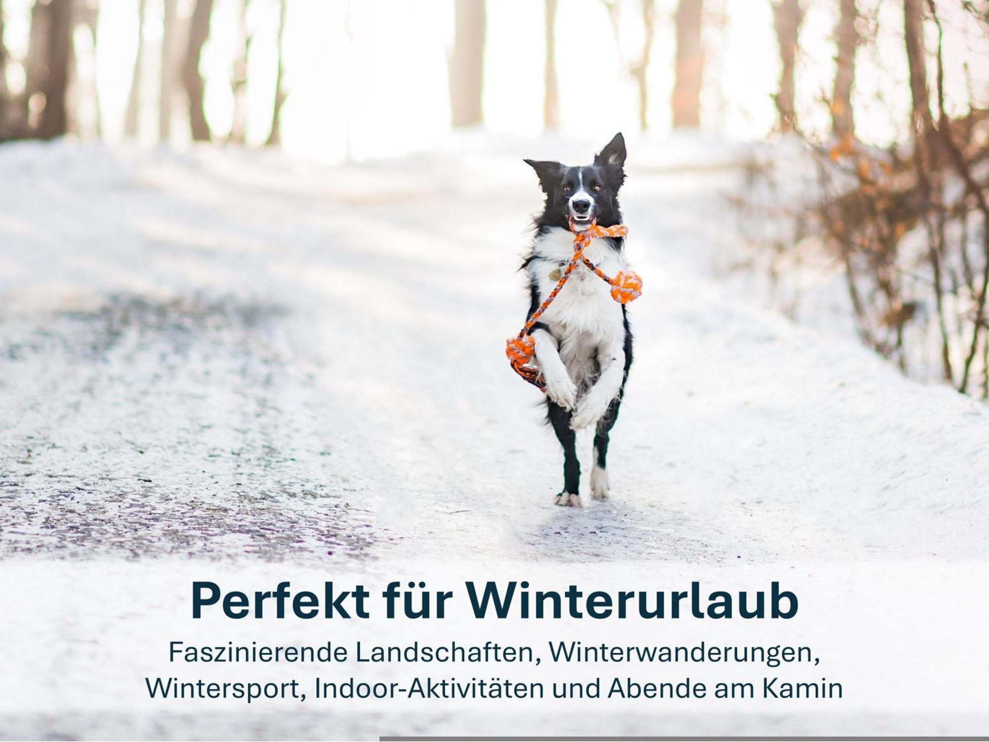 Paradies-Ambiente - Strandnah, Sauna, Kamin, Hundefreundlich Zinnowitz Eksteriør bilde